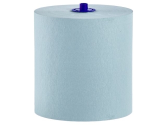 Merida Ręczniki papierowe w roli z adaptorem ECONOMY AUTOMATIC MAXI, zielone, średnica 19,5 cm, długość 250 m, jednowarstwowe, karton 6 rolek (RAZ301)