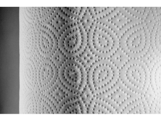 Merida Papier toaletowy TOP, biały, średnica 19 cm, długość 120 m, dwuwarstwowy, zgrzewka 12 szt., ECOLABEL (PTB206)